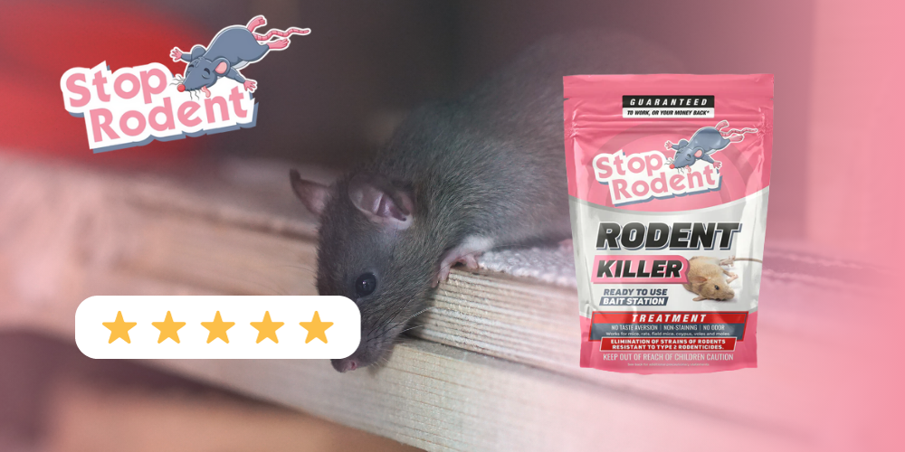 Notre avis sur Stop Rodent