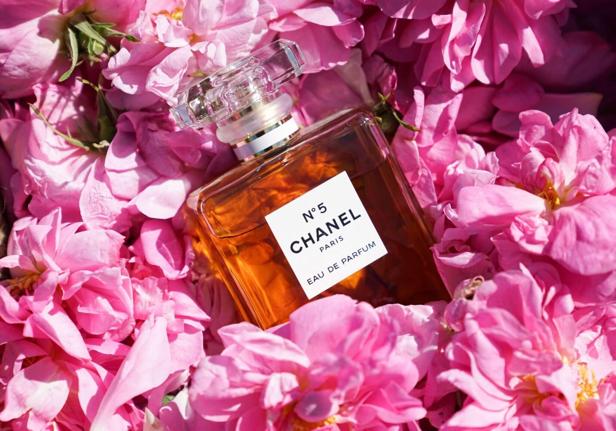 Le parfum le plus vendu au monde pour femme top 10 des — free download