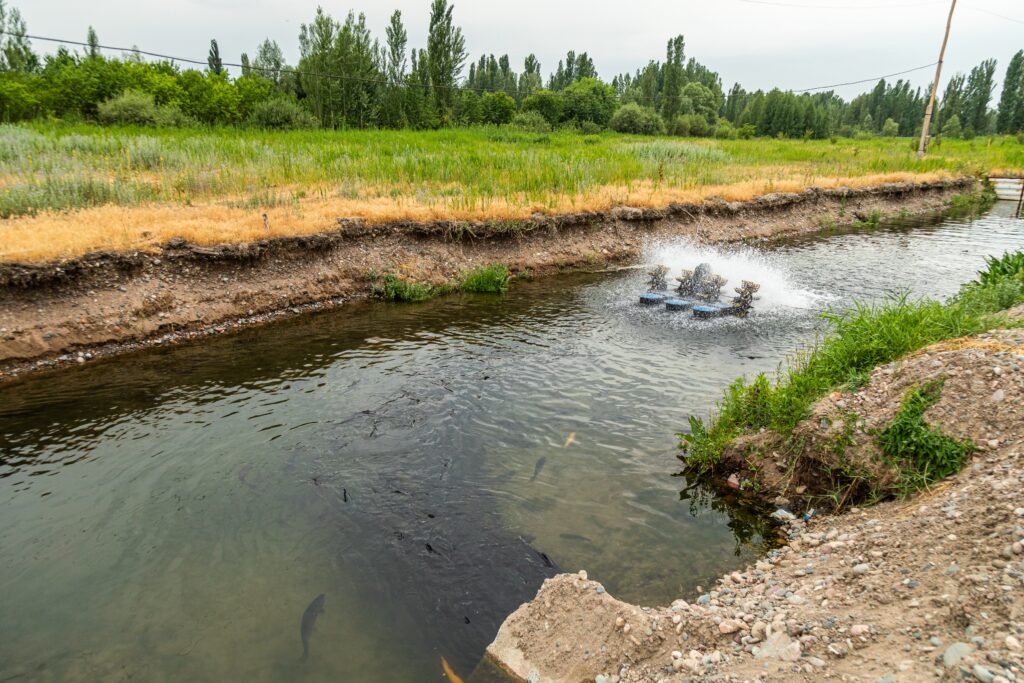 Nouvelle exploitation piscicole à Ihorombe : un levier pour la sécurité alimentaire et l’emploi